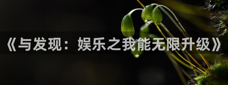 卧龙娱乐登录入口