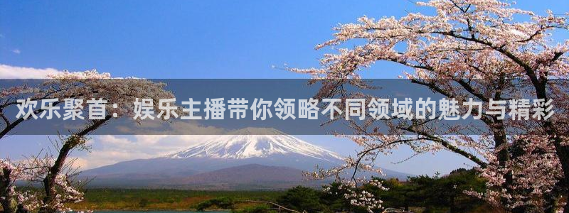 卧龙娱乐怎么样