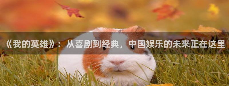 卧龙娱乐怎么样