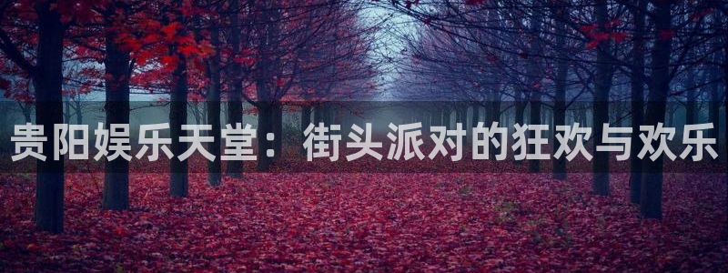 卧龙娱乐